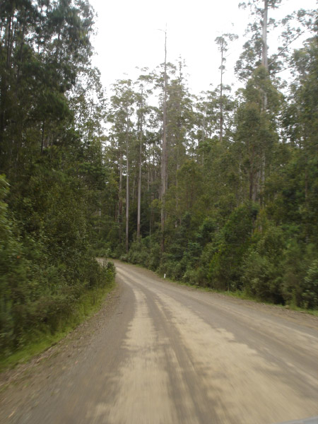 DSC02977