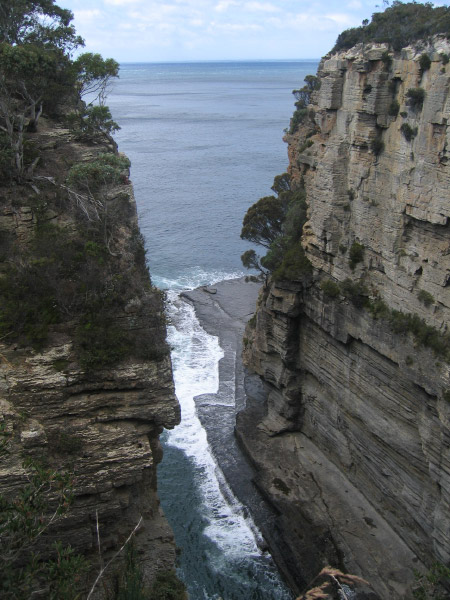 Tasmanien 142