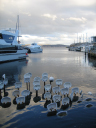 Tasmanien 157