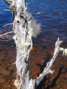 Tasmanien 243