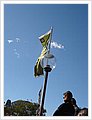 0204_circular_quay.JPG