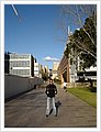 0305_uni.JPG