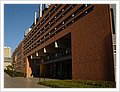 0312_uni.JPG