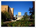 0323_uni.JPG