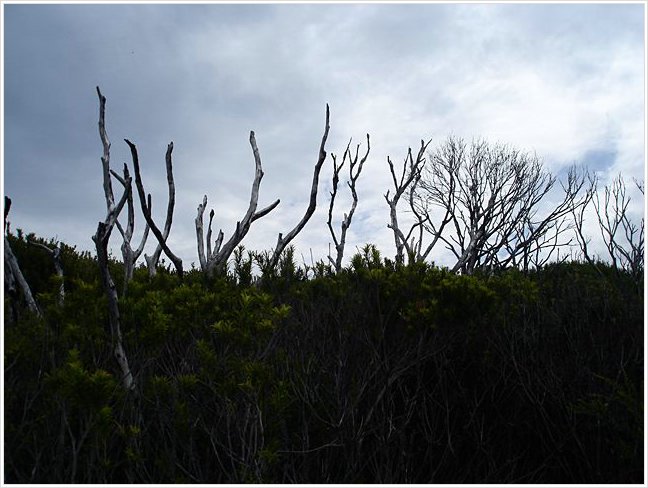 42105_bundeena.jpg