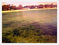 42028_bundeena.jpg