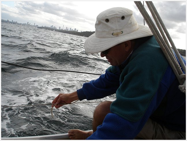 51134_Sailing.jpg