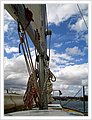 51001_Sailing.jpg