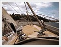 51008_Sailing.jpg
