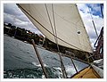 51009_Sailing.jpg