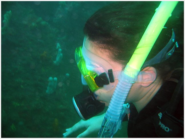 63013_diving1.jpg
