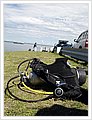 63003_diving1.jpg