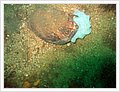 63015_diving1.jpg