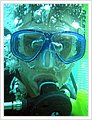63030_diving1.jpg