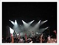 92040_grinspoon.jpg