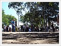 93008_newtonfestival.jpg